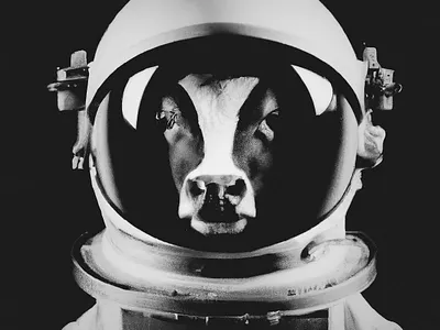 Exodus ai animal apollo arfiticialintelligence art astronaut blackandwhite bw dalle illustration mission nasa openai openaidalle photo retro space texttoimage universe