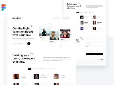 Staff Augmentation - Website Design