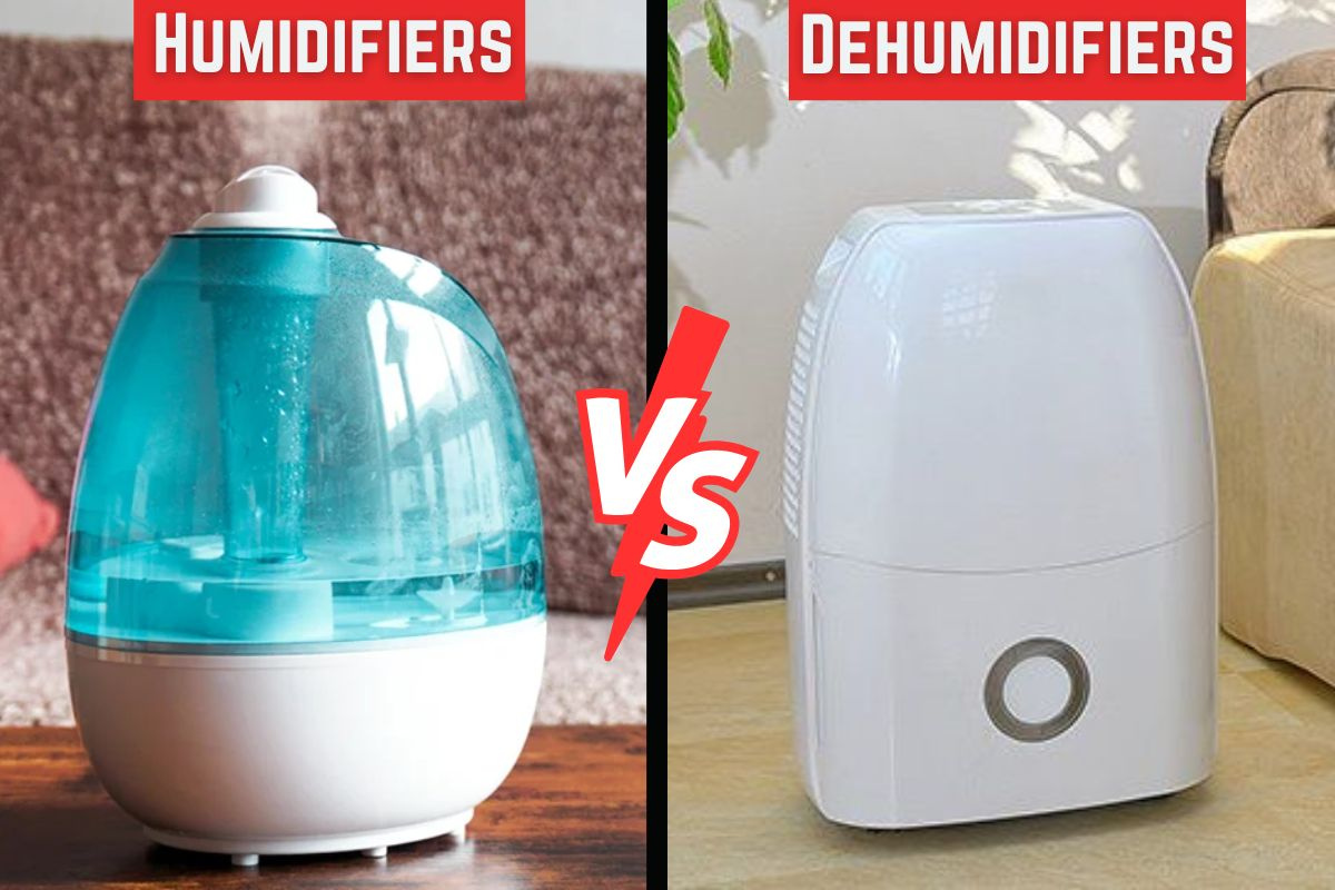 Albert Fouerti Humidifiers vs Dehumidifiers by Albert Fouerti on Dribbble