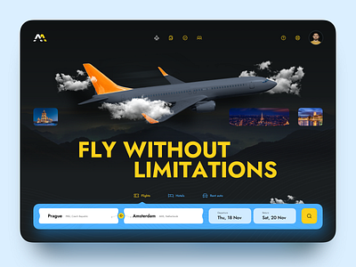 Airline Tickets Platform design illustration ui