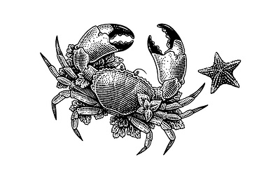 Crab black and white classical engraving etching illustration linocut retro scratchboard vintage woodcut