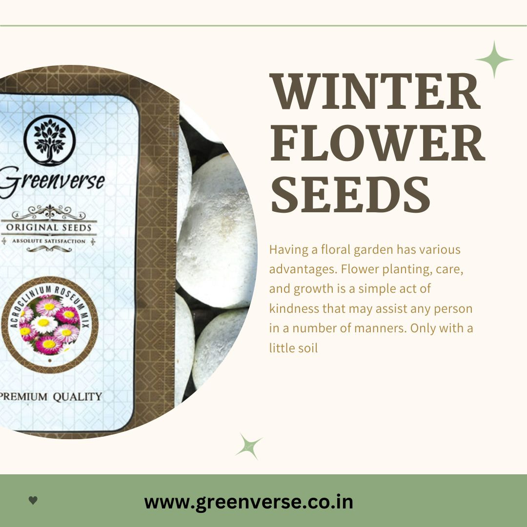 buy-winter-flower-seeds-online-by-green-verse-on-dribbble