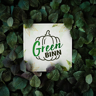 Green Binn Logo Design branding graphic design green logo indian branding logo logo design vegetable logo