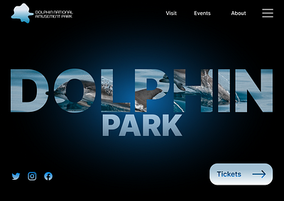 Dolphin Park - Landing Page design graphic design landing page ui ux web design