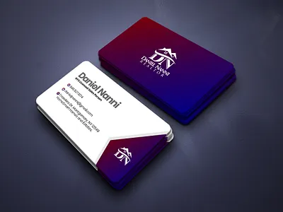 Daniel Nanni Realtor Business Card 3d branding design graphic design illustration logo typography