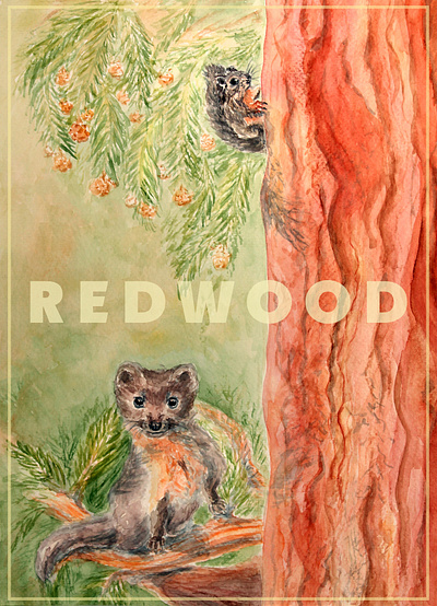 Hunter and Prey in Redwood animals book illustration ecology editorial illustration forest handdraw illustration ink inkdrawing marten postcard poster redwood sequoia squirrel travel