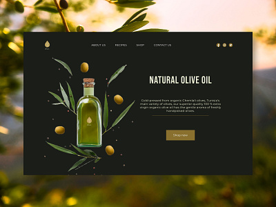 Design concept for a website selling natural olive oil design first screen homepage ui web design