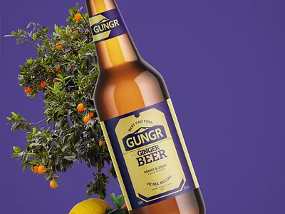 Experimental Design #2 Ginger Beer bottle branding design graphic design illustration logo