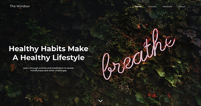The Window design mockup ui ux website
