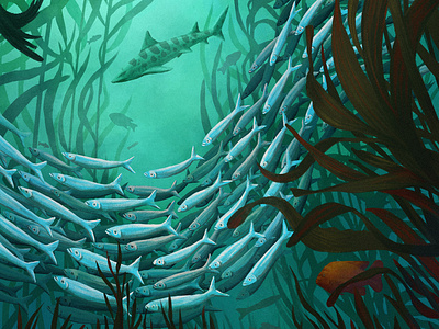 Kelp Forest design digital paint drawing fish illustration kelp forest ocean procreate sea lion shark underwater