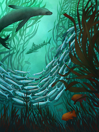 Kelp Forest design digital paint drawing fish illustration kelp forest ocean procreate sea lion shark underwater