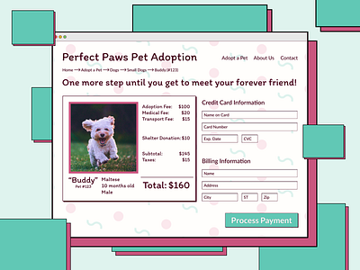 Perfect Paws Pet Adoption - Payment Page design graphic design ui ux