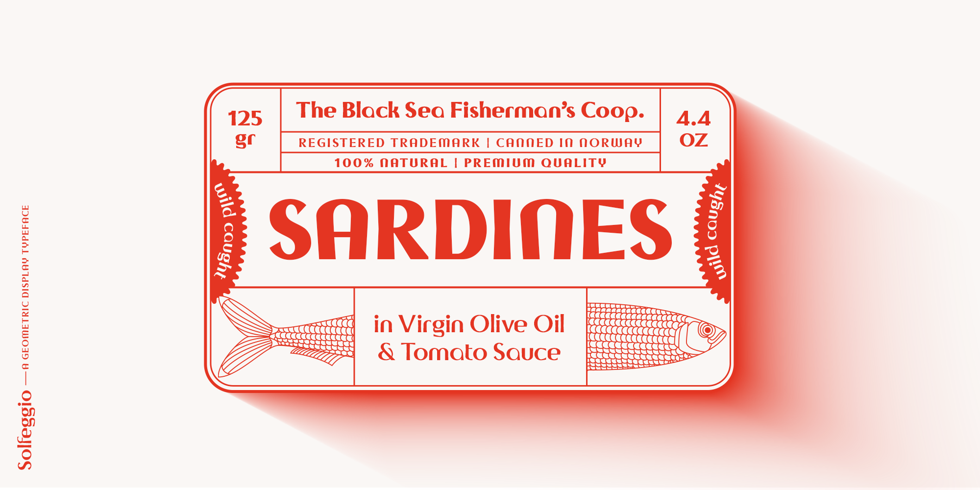 Solfeggio | A Geometric Display Typeface display typeface font font design font foundry type typedesign typeface typeface design