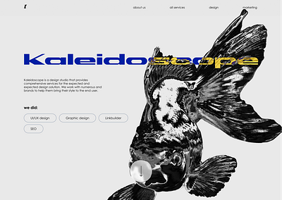 kaleidoscope | design agency. uiux agency agency of design branding creative design design agency typography ui uiux ux vector website