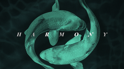 Harmony abstract art artwork branding design fish fishes gfx graphic design graphic designs graphics harmony illustration japanese painting
