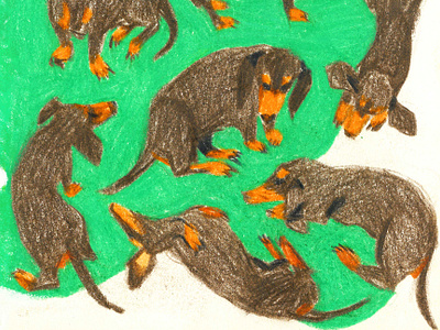 Dachshunds animals childrenbookart childrenbookillustrator coloredpencils colorfulillustration dachshund dogillustration dogsart drawing illustration illustrations kidsbook kidsbookart kidsbookillustration kidsbookillustrator picturebook picturebookart picturebookillustration picturebookillustrator sketch