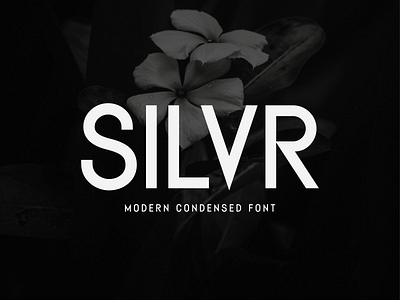 Silvr-Modern, Clean Condensed Font clean font condensed font display font elegant font modern font