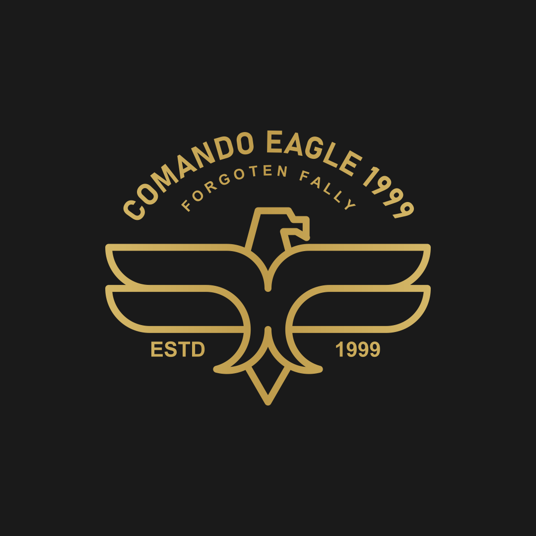 Eagle Line Art Logo behance branding design dribbble dubai graphic design instagram logo logos pinterest twitter uae ui usa