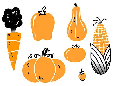 Orange Vegetables carrots clean corn illustration one color orange pumpkins spot illustration