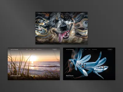 Photographer's Website Hero Section clean design minimal photo photograph photographer photography showcase simple ui web web design website website design