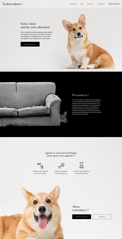 Daily UI :: 003 - Landing Page dailyui design dog psychologist ui