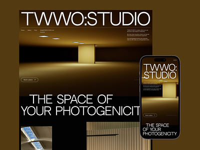 TWWO:STUDIO photo space website big text clear landing page lux design minimalism studio website