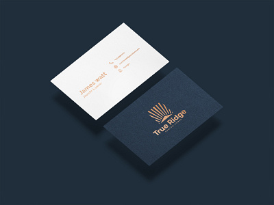 Luxury business card brand branding business card clean concept creative design elegant gold graphic design layout logo luxury modern template trend