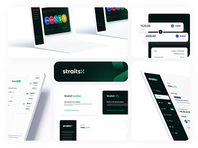 StraitsX Design Elements app components design desktop interaction design ui uiux web app website