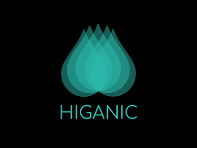 Higanic Logo branding design illustration logo vector