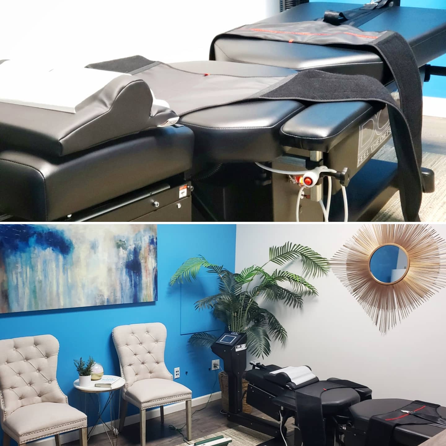 Spring Back Chiropractic Dribbble