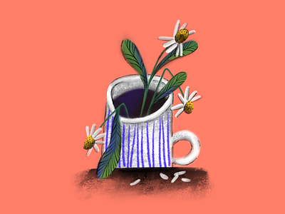 Herbal tea camomile cup flowers herbaltea illustration illustrator tea