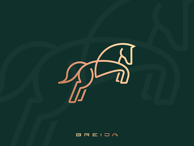 Breija Horse Logo Design animal branding breeding breija design gedas meskunas glogo graphic design horse icon illustration jockeys jump logo mustang outline riding stalion tail vector