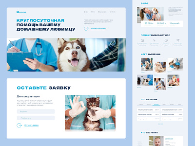 Landing page, design concept - Vet Clinic branding design figma graphic design home page homepage illustration landing landing page photoshop ui user experience user interface ux vet vet clinic web web design