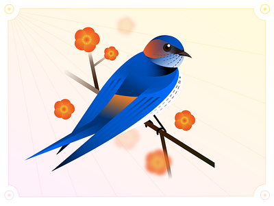 Birds & Flowers 4/24 Red-rumped Swallow bird flower graphic design illustration spring swallow
