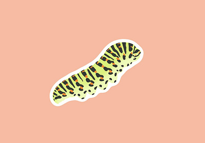 Caterpillar Sticker bug bug sticker caterpillar flat illustration print spring sticker