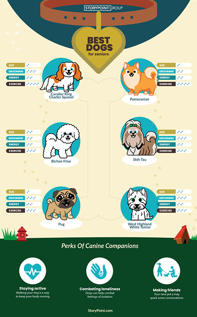 Pet infographic for blog