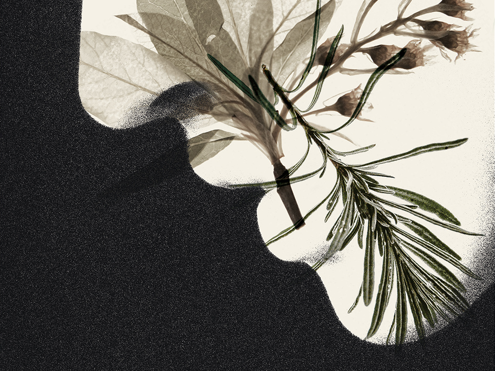 Culture Box vol.7 collage culture culture box illustration ratio samodiva