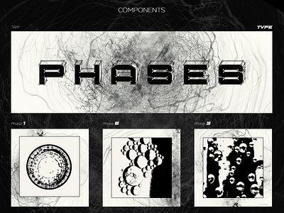 Phases | Poster abstract biological blackwhite components concept design graphic design growing level mockup phase phases poster printing retro steps texture