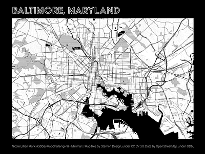 Charm City: Minimal cartography data visualization design gis illustration map