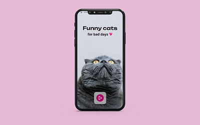 Funny cats animation motion graphics ui