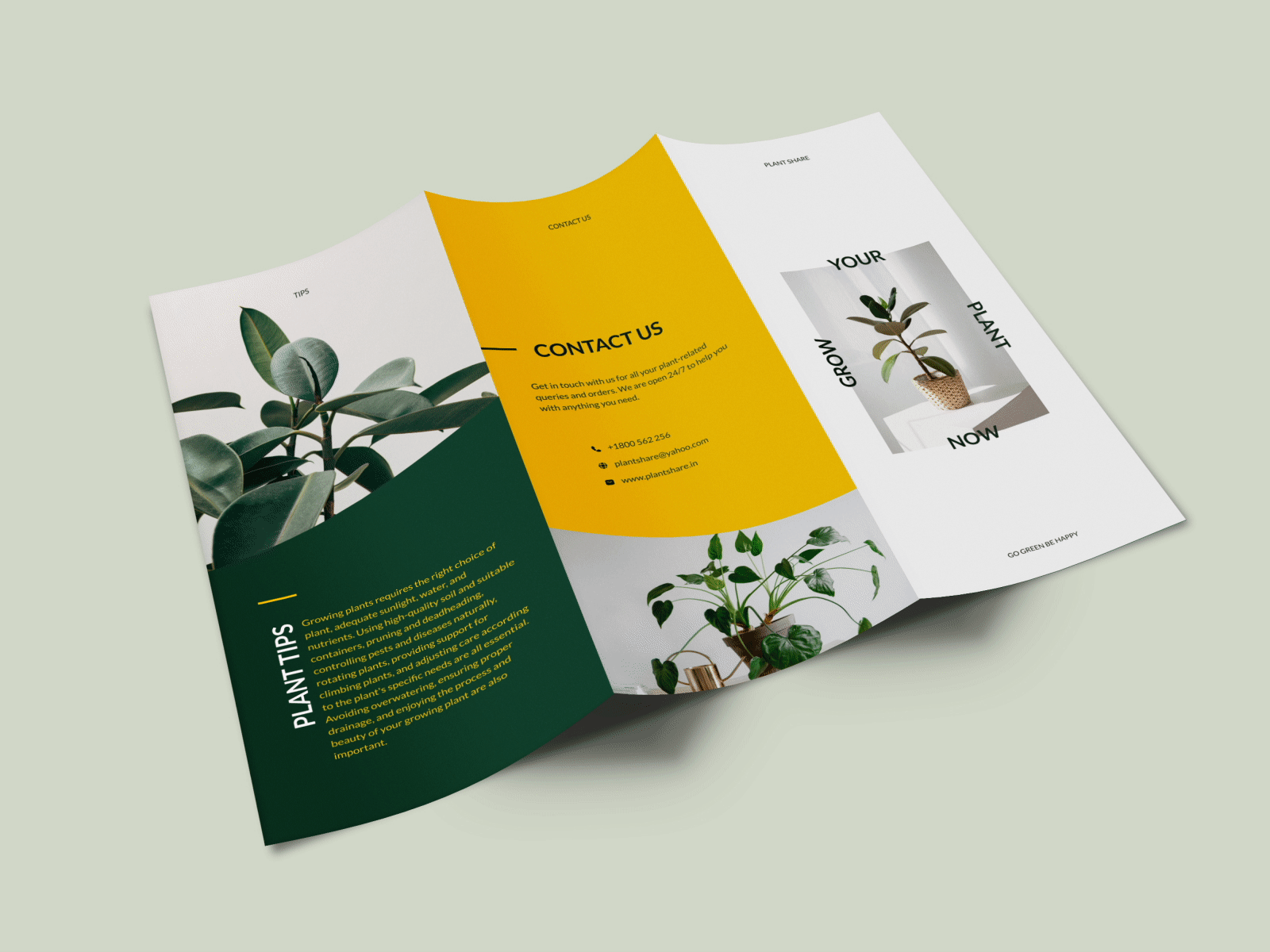 Plant Share: Indoor Plant Brochure Design to Elevate Your Sp branding brochure brochure design design figma graphic design illustration indoor plant logo plantation typography vector visual design