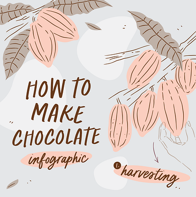 How to make Chocolate / Infographic chocolate drawings graphic design hand drawn illustration infographic vector