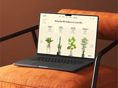 Shopify: Sofa King Concept branding design ecommerce illustration shopify ui ui design