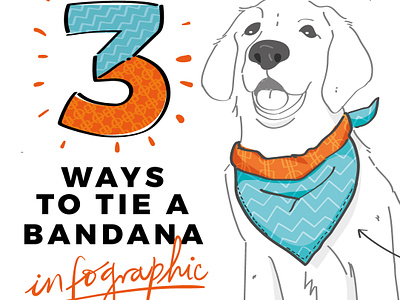 3 Ways to tie a Bandana / Infographic bandana clothes colorful cute dog drawing graphic design hand drawn infographic pet vector
