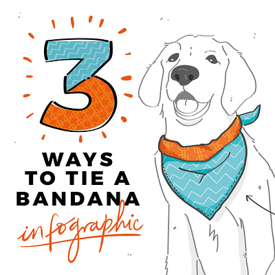 3 Ways to tie a Bandana / Infographic bandana clothes colorful cute dog drawing graphic design hand drawn infographic pet vector