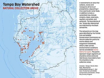 Tampa Bay Watershed Natural Collection Areas cartography data visualization design gis illustration map