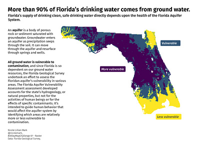 The Vulnerability of the Florida Aquifer System cartography data visualization design gis illustration map