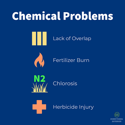 Lawn Care Problems - Chemical Problems graphic design infographic