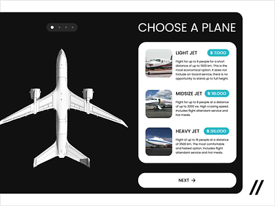 Private Jet App airline animated animation app design interface jet company motion motion design motion graphics online plane private jet purrweb ui ux web app web interface web ui website