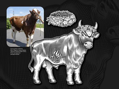 Muni 'Magnus' black and white bull engraving etching hand drawing hatching illustration mascot retro vector art winner